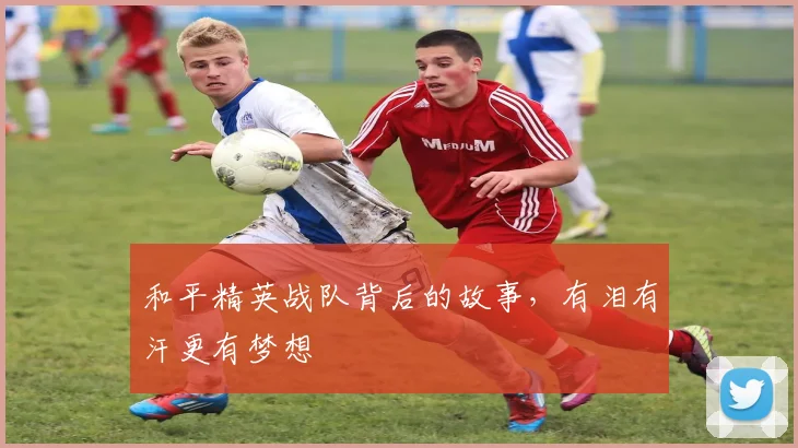 和平精英战队背后的故事，有泪有汗更有梦想