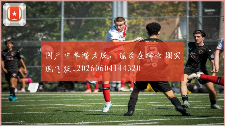 国产中单潜力股,能否在转会期实现飞跃_20260604144320