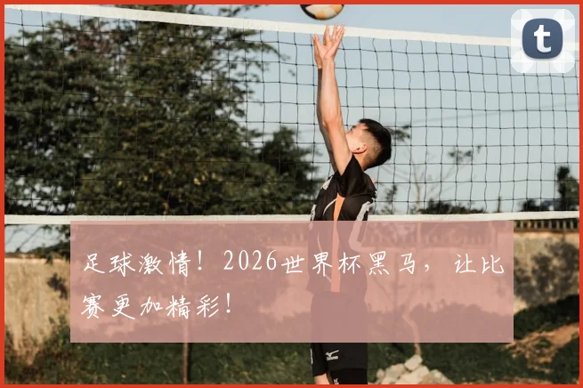 足球激情！2026世界杯黑马，让比赛更加精彩！